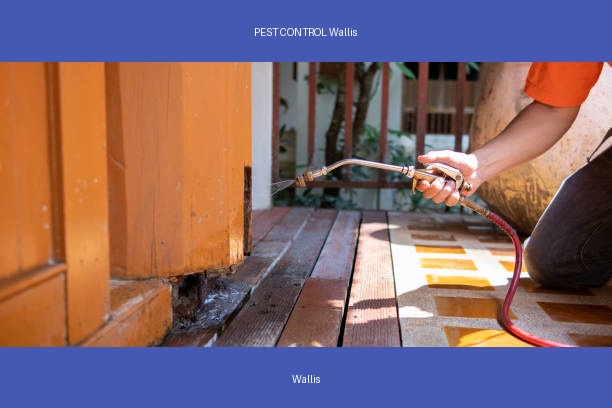 PEST CONTROL Wallis